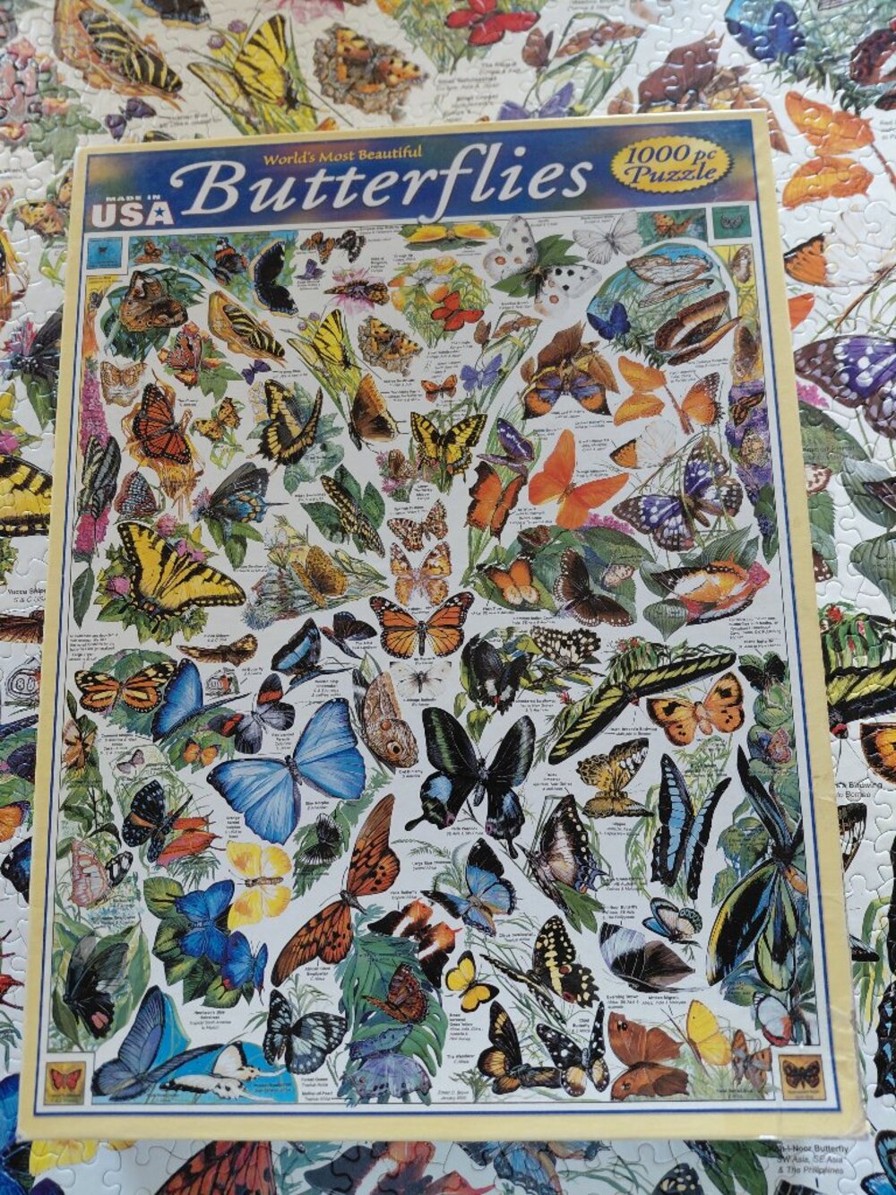 White Mountain 1000pc Worlds Most Beautiful Butterfly's